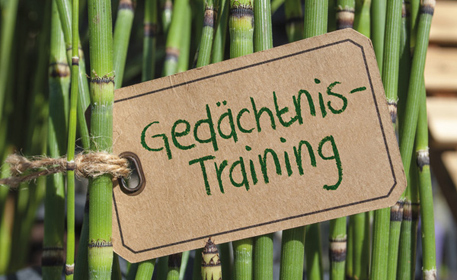 Ein Schild mit der Aufschrift "Gedächtnis-Training" hängt an und vor Bambus-Stämmen. 