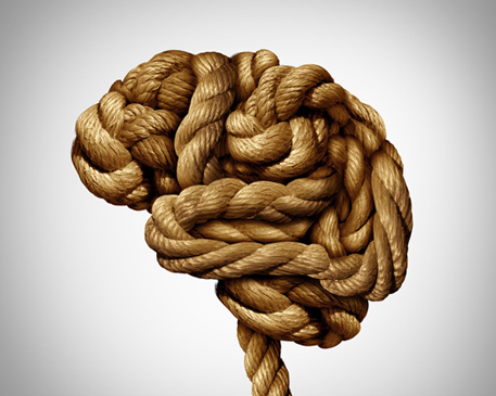 Ein Seil, dass zu einem Gehirn geformt ist, auf weißem Hintergrund.