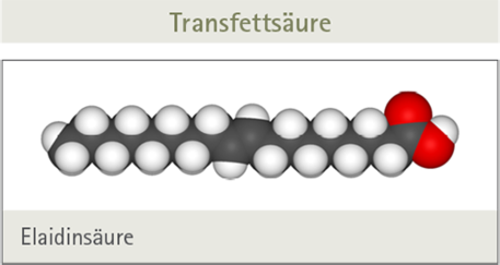 Chemische Struktur von Elaidinsäure.